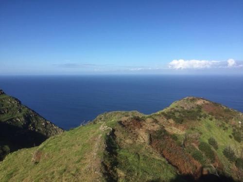a green hill with the ocean in the background at Ocean View Cottage in Ponta do Pargo