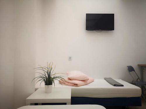 a room with a bed and a tv on a wall at Hostel Kamienica Rynek 7 in Katowice