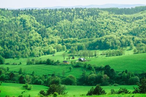 a farm in the middle of a green field at Sielska Chyża in Rzepedż