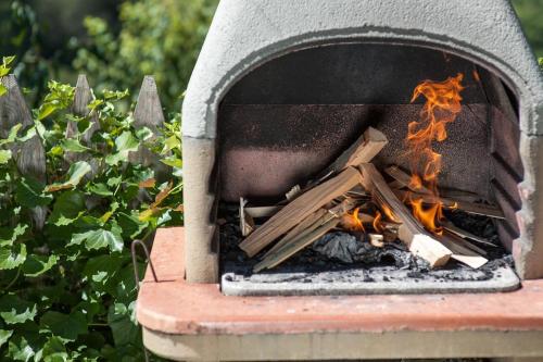 a fire pit with a pile of wood in it at Sonnleiten Sonnenadler 1 in Collepietra
