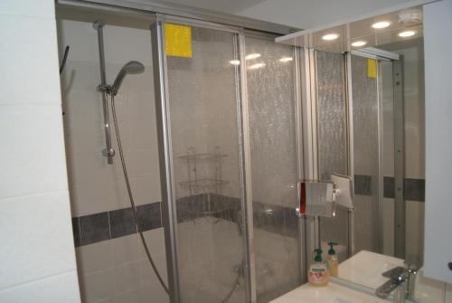 a shower with a glass door in a bathroom at Bergblick471 in Hahnenklee-Bockswiese