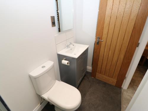 ein Badezimmer mit einer weißen Toilette und einem Waschbecken in der Unterkunft Horsley Cottage in Consett