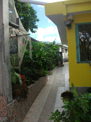 a yellow building with a walkway with plants on it at Residence Madelia in Port-Louis