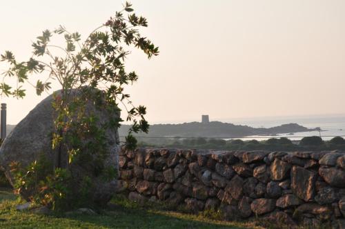 a stone wall and a tree in a field at Stazzo La Foci soluzioni vista Mare in Aglientu