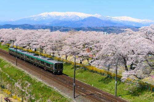 a train traveling down the tracks with cherry trees at Hotel GrandBach Sendai in Sendai