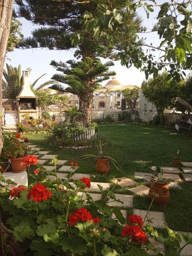 Gallery image of GARDEN in Anissaras