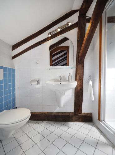 a bathroom with a sink and a toilet at Penzion Kamenne Slunce in Telč