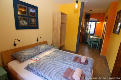 Gallery image of Apartments Bovec House in Bovec