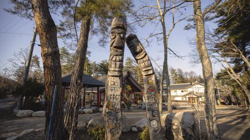 a totem pole in the middle of some trees at 金剛寺 宿坊 成穂院 in Matsukawa