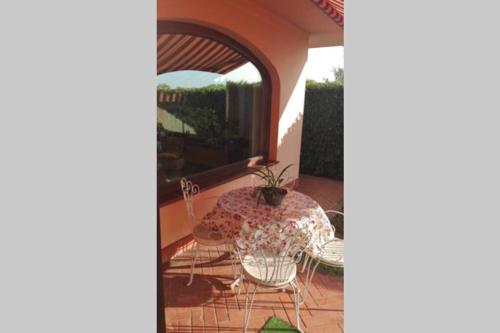 a table with a potted plant on a patio at Alloggio nella Villa dell'Edera in Acqui Terme