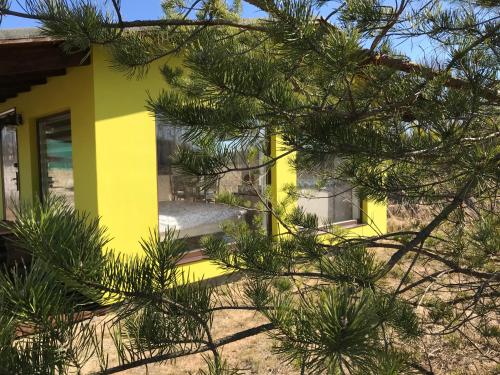 a yellow house through the branches of a tree at SKY Ranch in Izborsk