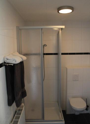 a shower stall in a bathroom with a toilet at Stadsherberg 'Het Wapen van IJlst' in IJlst