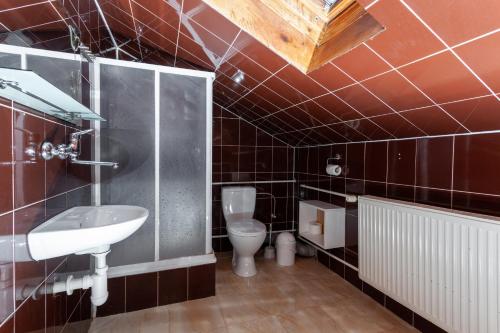 a bathroom with a sink and a toilet at Goralturist in Ždiar