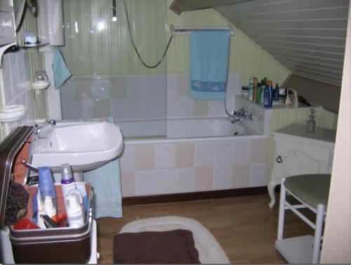 een badkamer met een bad, een wastafel en een bad bij La Chênaie in Vresse-sur-Semois