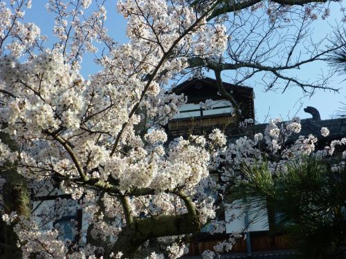 a tree with white flowers in front of a building at Nara Hotel in Nara