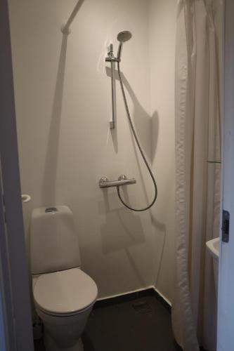 a bathroom with a toilet and a shower at Charming Red Courtyard Apartment in Copenhagen