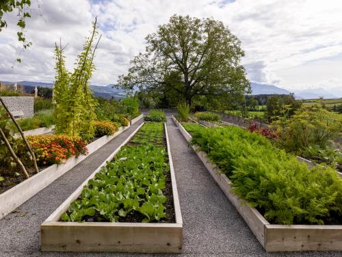 a garden with several raised beds of lettuces at Kloster Kappel in Kappel am Albis