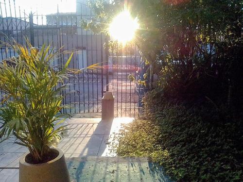 a wrought iron fence with a gate with plants at Morada BemTeVi Guest House in São José dos Campos