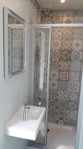 a bathroom with a shower and a white sink at Biesbosch Bed & Breakfast Werkendam in Werkendam