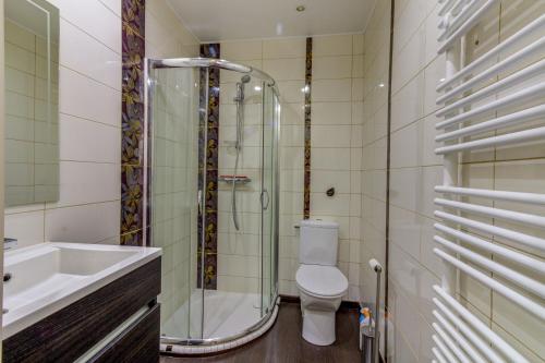 a bathroom with a shower and a toilet and a sink at Appart Grande terrasse in Saint-Jean-de-Luz