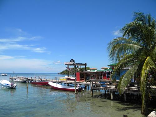 a group of boats are docked at a dock at Mariposa Lodge in West End