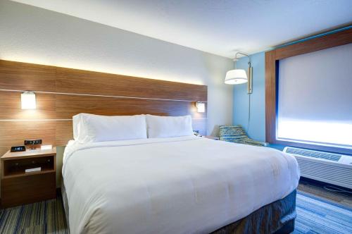 a large white bed in a hotel room with a window at Holiday Inn Express & Suites North Platte, an IHG Hotel in North Platte