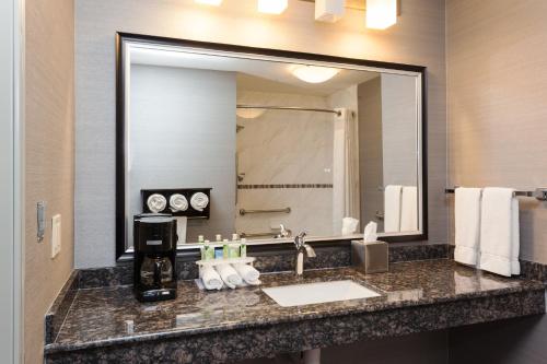 Holiday Inn Express & Suites Rapid City, an IHG Hotel في رابيد سيتي: حمام مع حوض ومرآة كبيرة