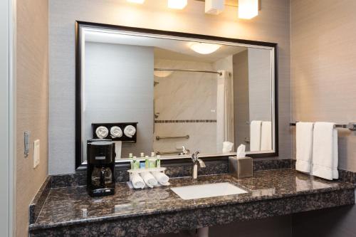 a bathroom with a sink and a large mirror at Holiday Inn Express & Suites Rapid City by IHG in Rapid City