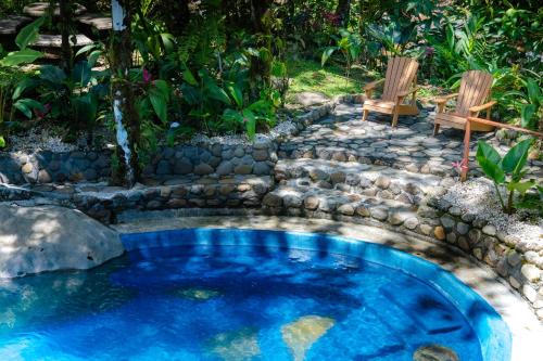 a swimming pool in a garden with a bench at Agua Inn in Nuevo Arenal