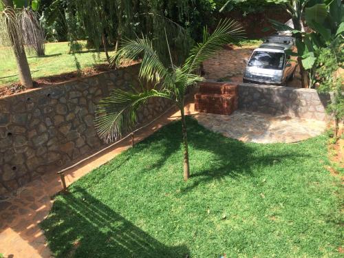 a palm tree in a yard next to a car at David Crater Homestay in Lushoto
