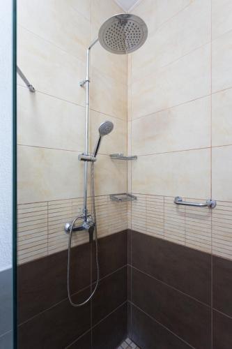 a shower with a shower head in a bathroom at San Diego in La Matanza de Acentejo