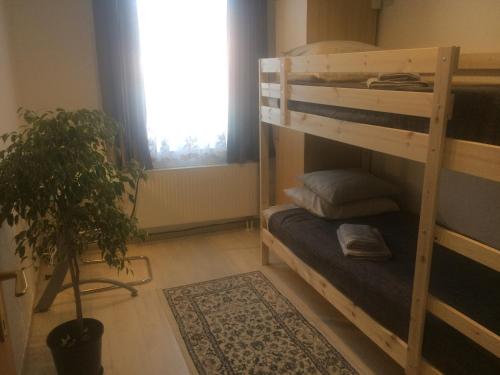 Privé appartement in de buurt van Brussel في Asse: غرفة مع سريرين بطابقين ونبات الفخار