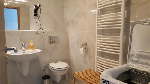 Baño pequeño con aseo y lavamanos en Lelle Resort B26, en Balatonlelle