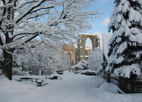 a park covered in snow with benches and trees at Ferienwohnung Stricker Typ E in Bad Sachsa