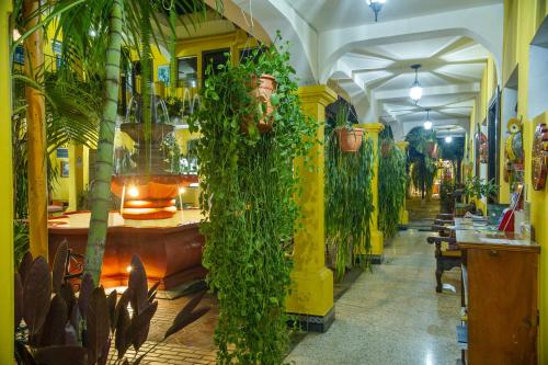 a restaurant with lots of plants on the walls at Posada San Vicente by AHS in Antigua Guatemala