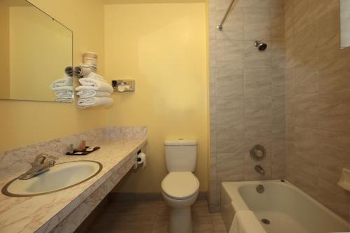 ウィネマッカにあるRegency Innのバスルーム(洗面台、トイレ、バスタブ付)