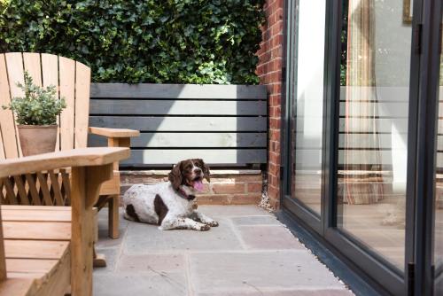 a dog sitting on a patio next to a door at The Eastbury & Spa in Sherborne
