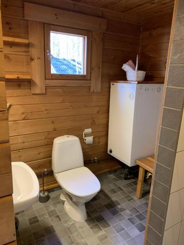 a bathroom with a toilet and a sink at Mökki Aapola in Puumala