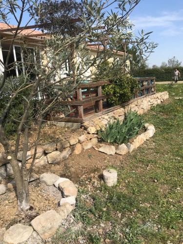 a garden with a tree and a stone wall at Chambre en Ardèche du Sud in Saint-Remèze