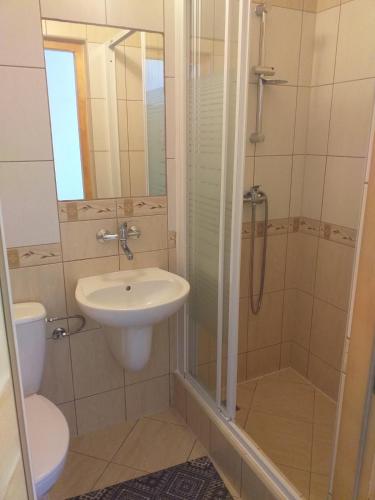 a bathroom with a shower and a sink and a toilet at Karczma Mikuda - Sauna Basen Jacuzzi z widokiem na góry - Kuligi - Parking in Zakopane