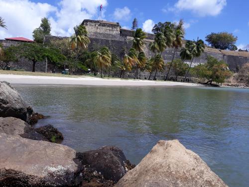 a beach with palm trees and a castle in the background at Beauty F2 Cosy Island in Fort-de-France