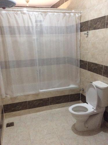 a bathroom with a toilet and a shower curtain at The Brown House in Luxor