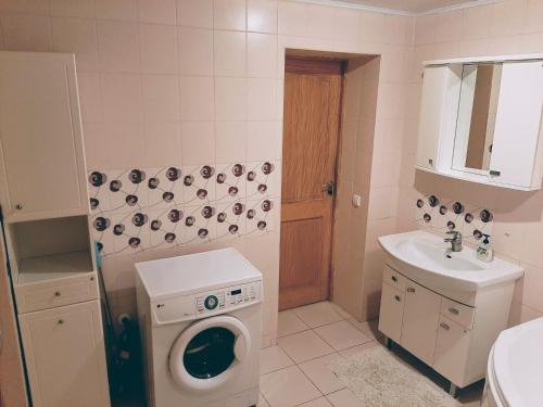 a bathroom with a washing machine and a sink at Irene apartments in Druskininkai