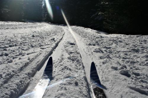 a pair of skis in the snow on a trail at Pension GRANTL in Kašperské Hory