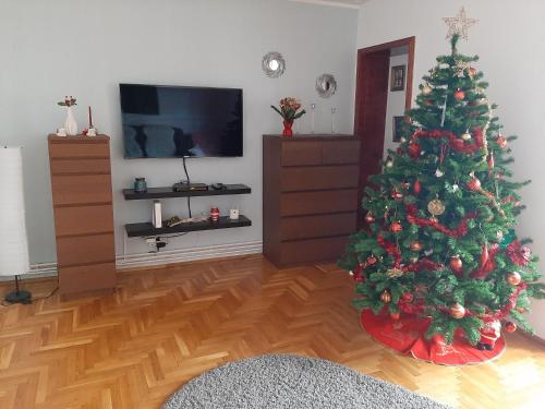 Cozy Apartment – Photos 2
