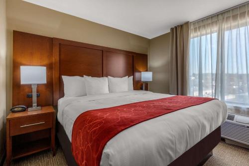 a hotel room with a large bed and a window at Comfort Suites Pelham Hoover I-65 in Pelham