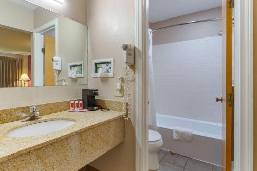 Econo Lodge Sturbridge Route 20 tesisinde bir banyo