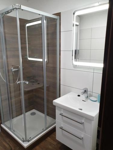 a bathroom with a glass shower and a sink at Penzion Zaječák in Zaječí