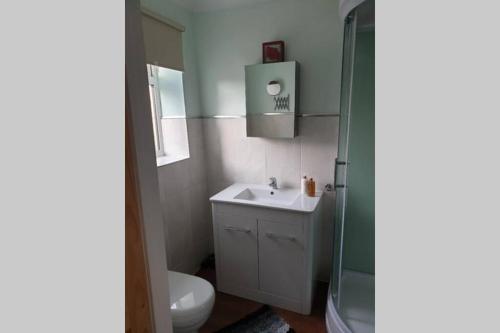 a bathroom with a sink and a toilet and a shower at A home away from home with a big welcome in Slades Green