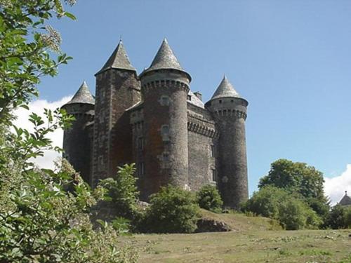 an old castle sitting on top of a hill at Hôtel Auberge du Combaïre in Laguiole